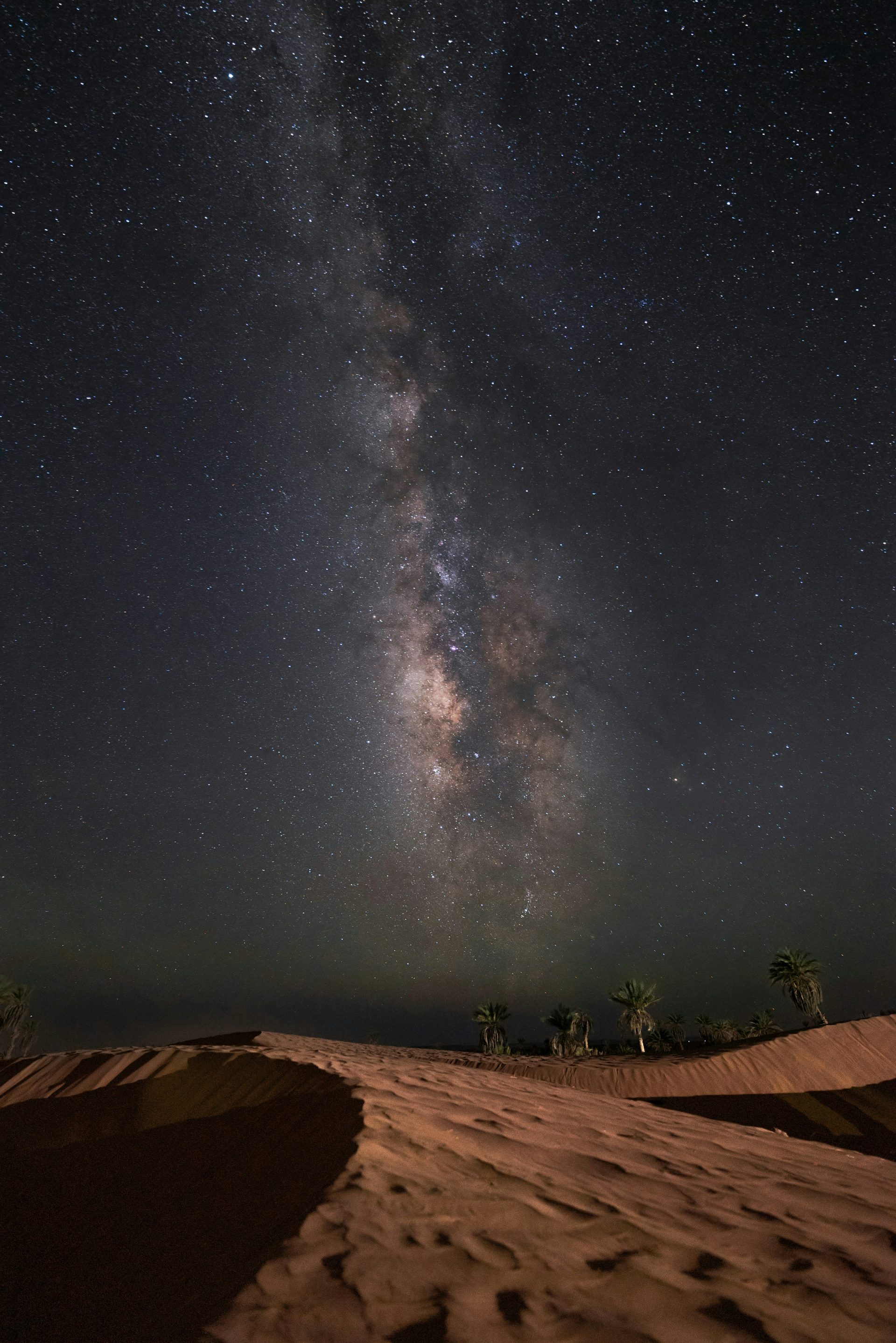 The night sky is filled with stars above a sandy area